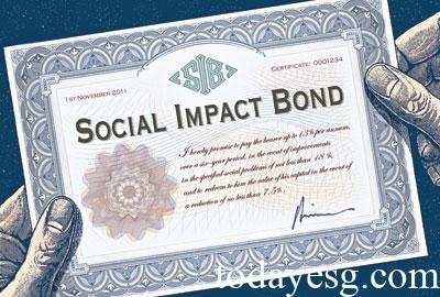Impact Bonds