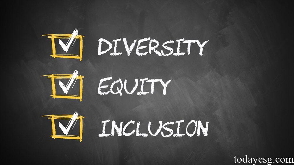 Diversity Equity and Inclusion