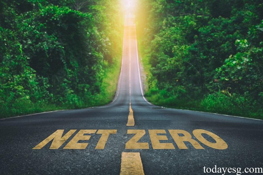 Net Zero