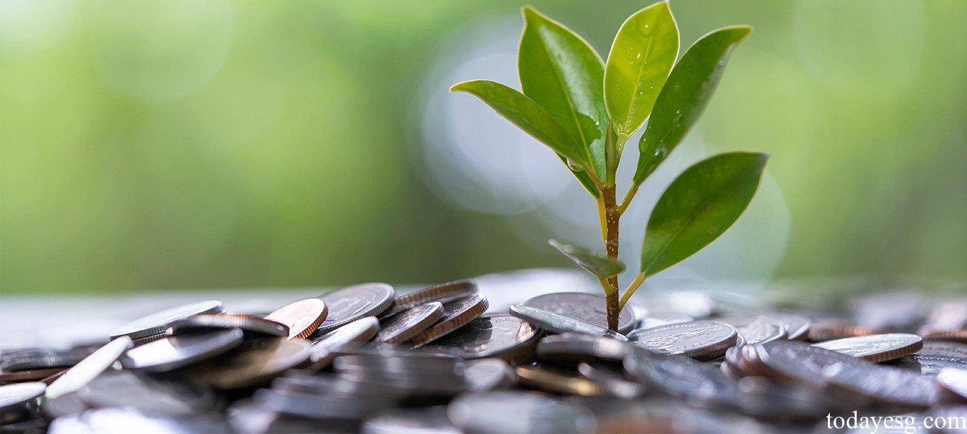 Responsible Investment