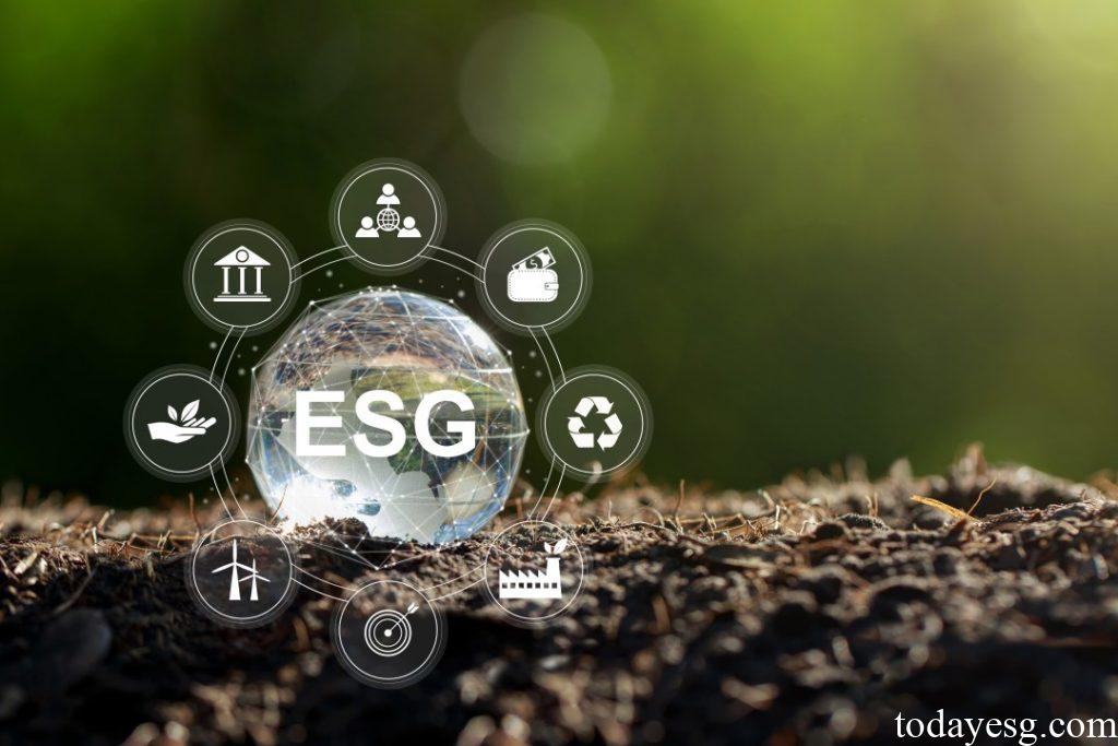 ESG Ratings
