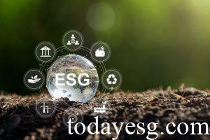 ESG Ratings