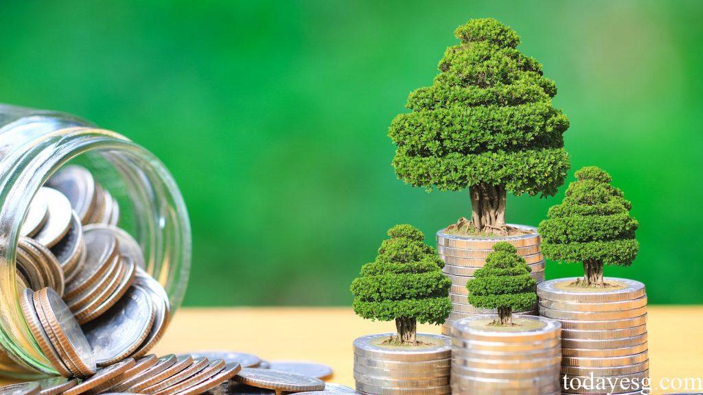 Sustainability Linked Bond