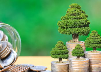 Sustainability Linked Bond