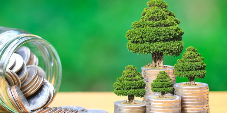 Sustainability Linked Bond