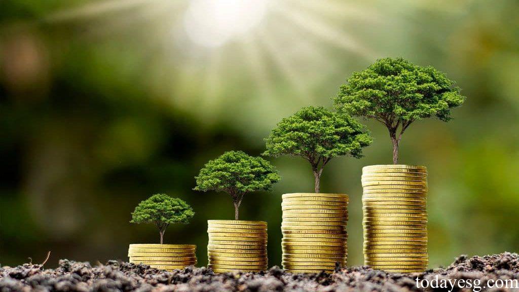 Global Sustainable Investment