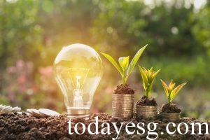 Sustainability Disclosure