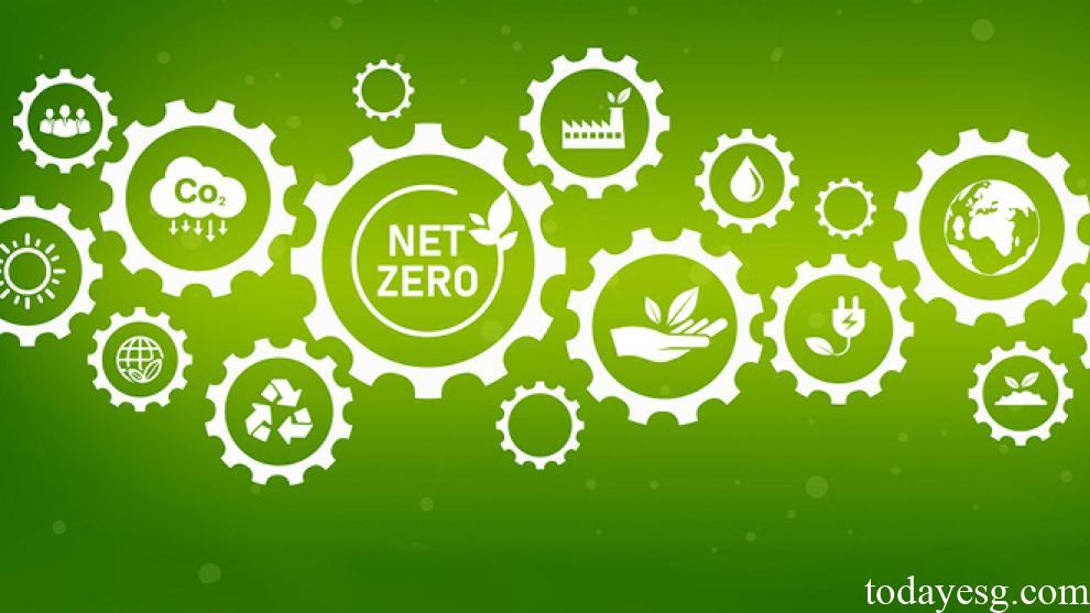 Net Zero Transition Report