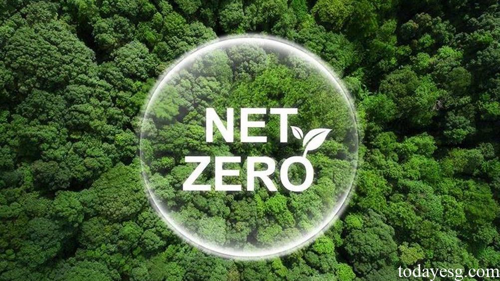 Net Zero Investment Guidelines