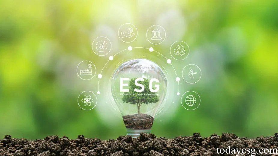 ESG Survey Report on Asset Managers