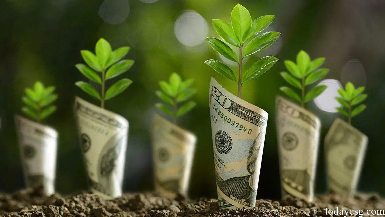 Greenwashing Report on Sustainable Finance
