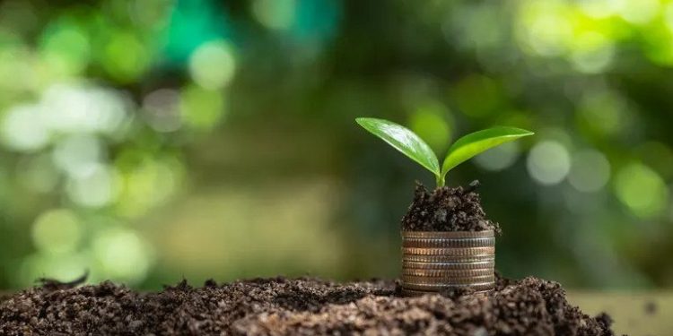 Greenwashing Report