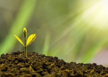 Responsible Investment Report