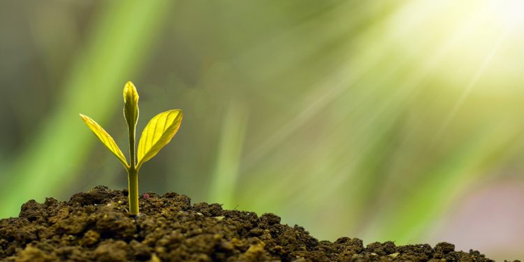 Responsible Investment Report