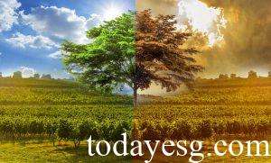 Climate Report