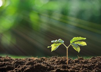 Responsible Investing