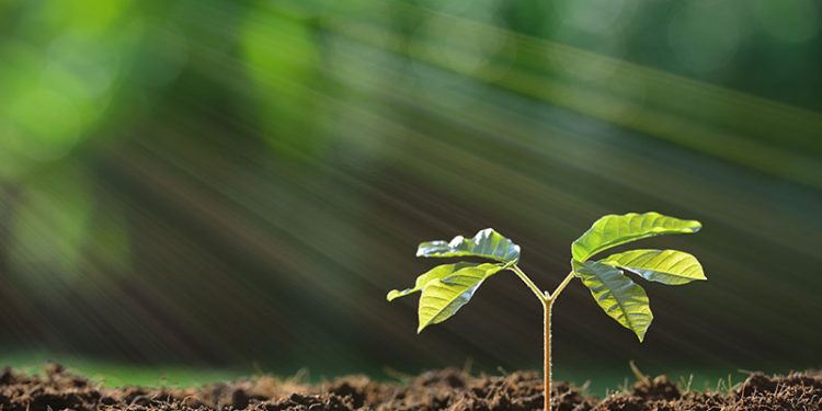 Responsible Investing