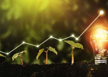 Sustainable Development