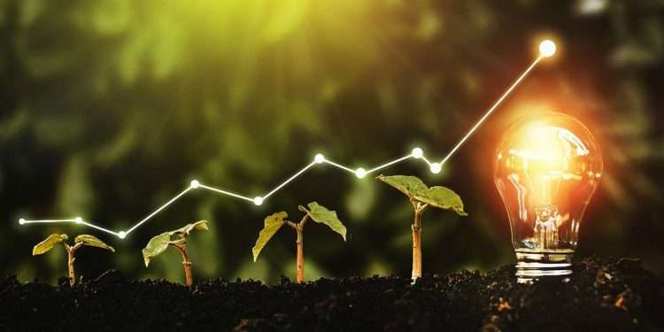 Sustainable Development