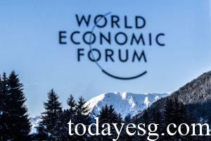 WEF