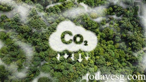 碳信用