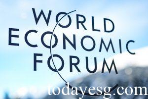 WEF