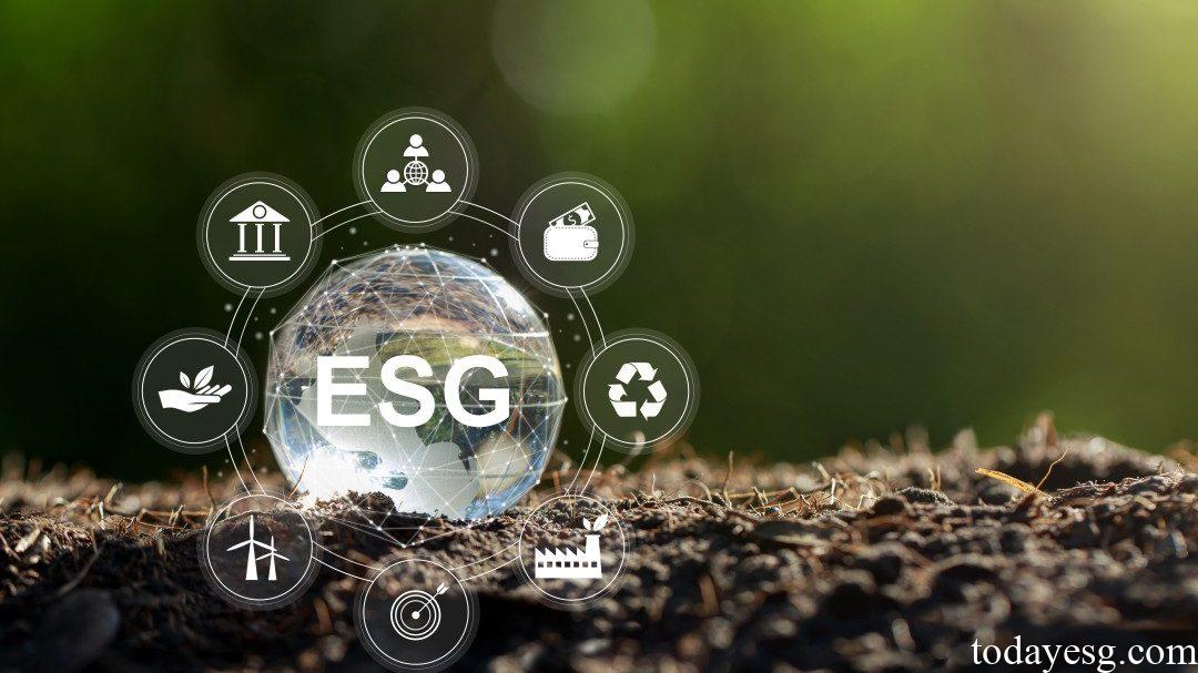 ESG Ratings Providers