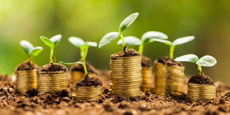 Sustainable Ecosystem