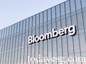 Bloomberg