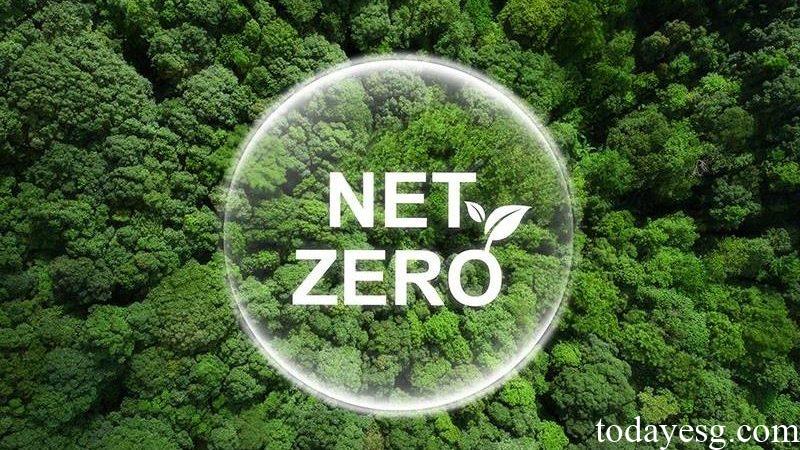 Net Zero Investment Report