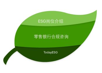 零售银行合规咨询