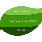 Retail Banking Risk Strategy English