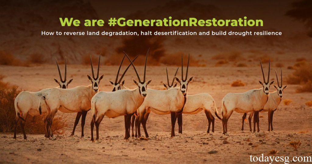 World Environment Day世界环境日