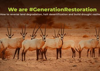 World Environment Day世界环境日