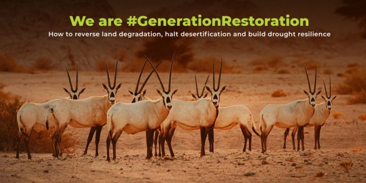 World Environment Day世界环境日