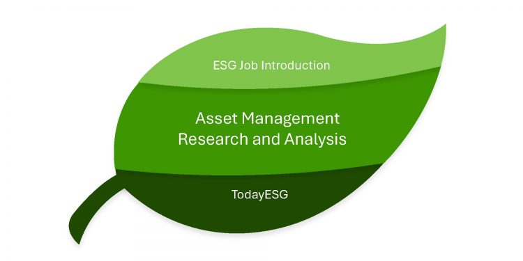 Asset Management Research and Analysis English