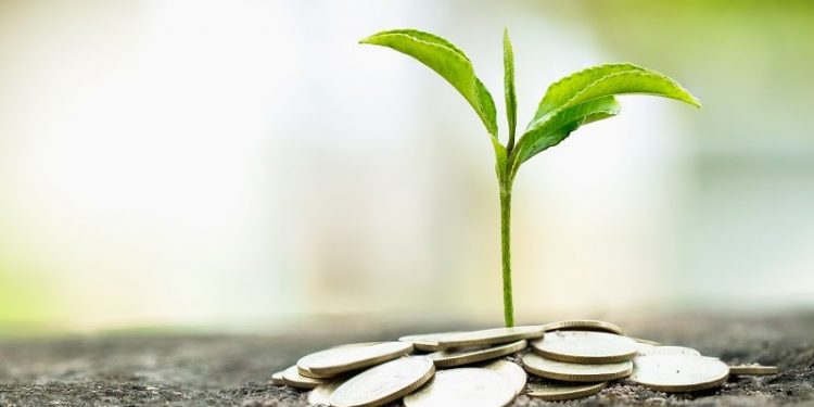 Sustainable Finance Taxonomies