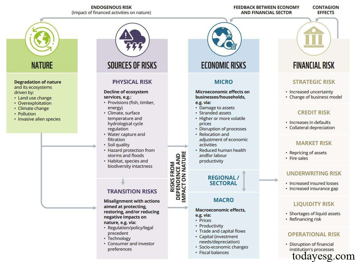 WWF Releases Nature-related Risks for Systemically Important Banks ...