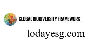 Global Biodiversity Framework