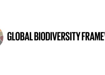 Global Biodiversity Framework