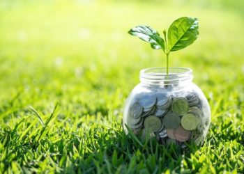 Sustainability Disclosure