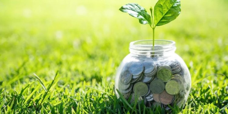 Sustainability Disclosure