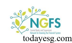 NGFS