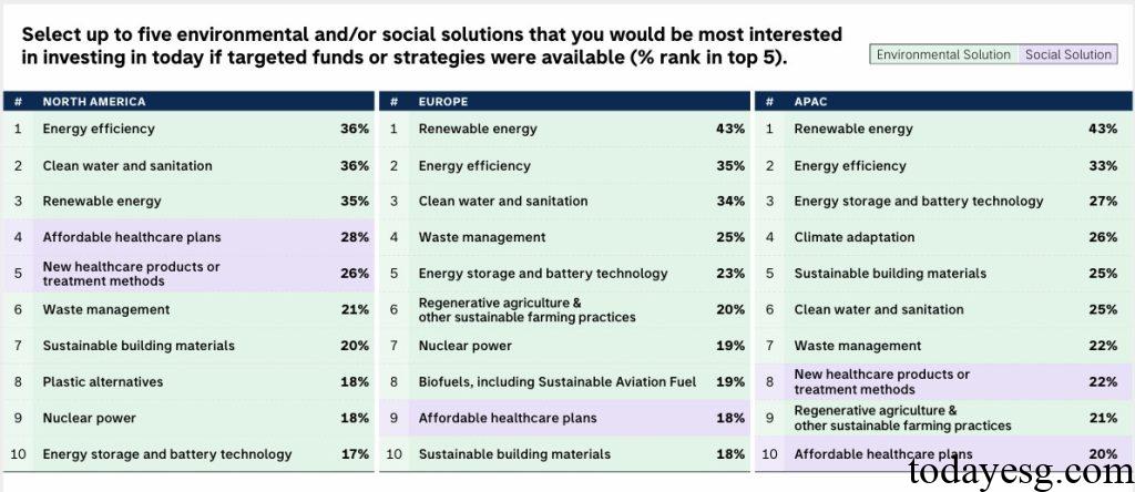 Individual Investor Sustainable Investment Themes