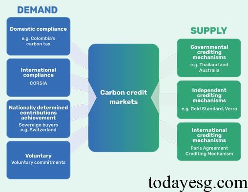 Global Carbon Credit Maret Structure
