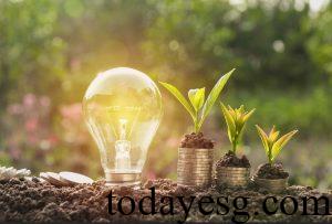 Carbon Market