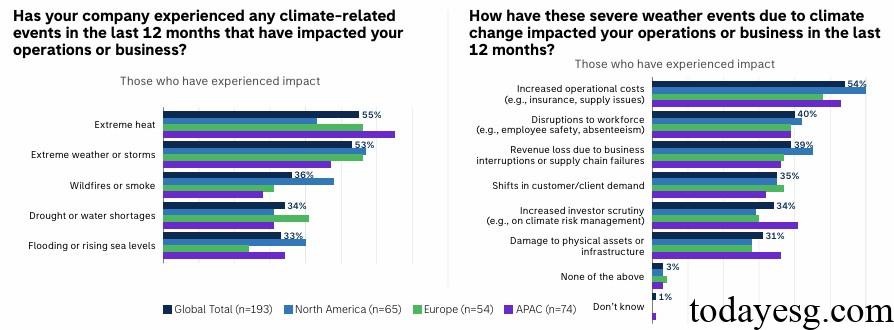 Corporate Climate Impact