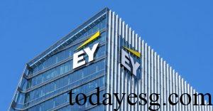EY