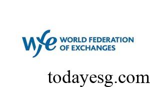 WFE