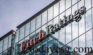 Fitch